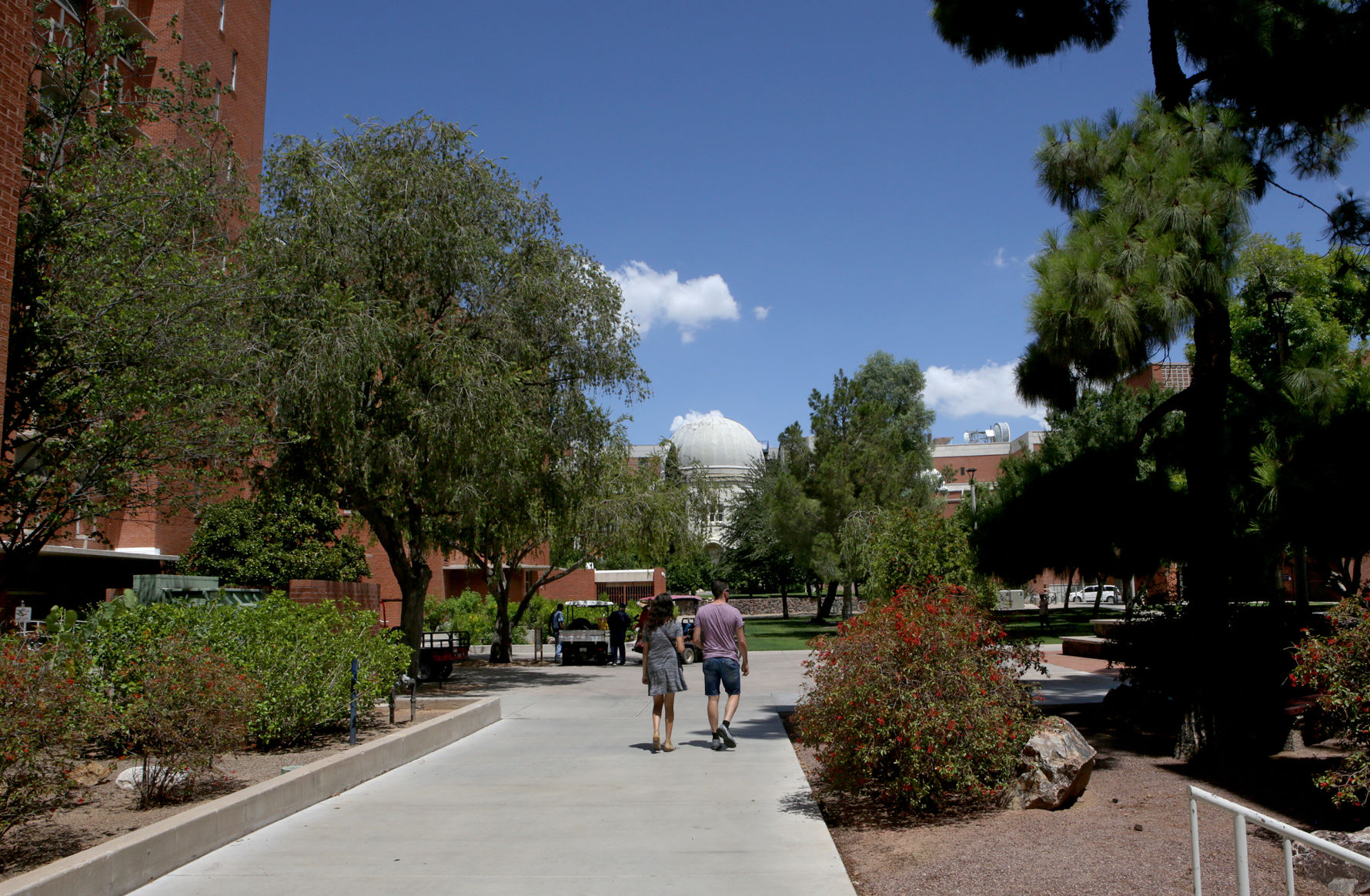 University of Arizona: Steward Observatory